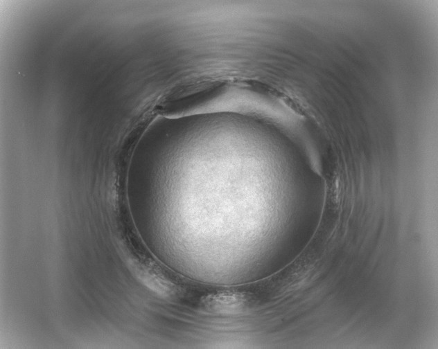 X0000066090639200603131205