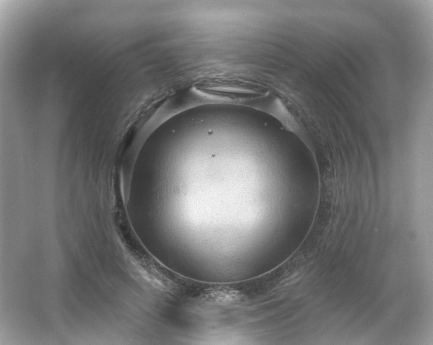 X0000066090642200603131205