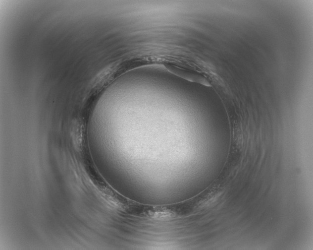 X0000066090645200603131205