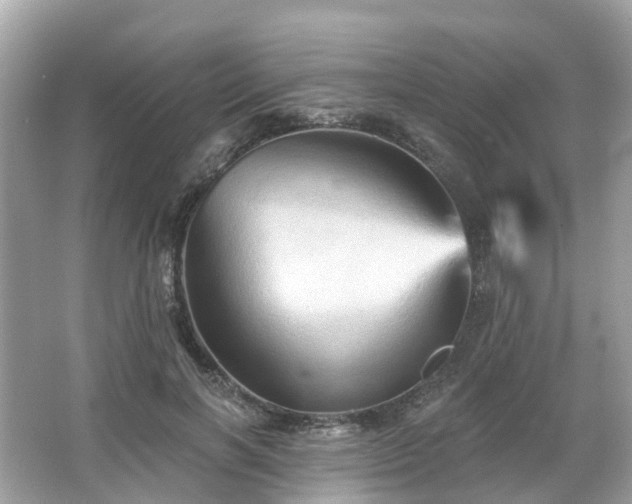 X0000066090646200603131205