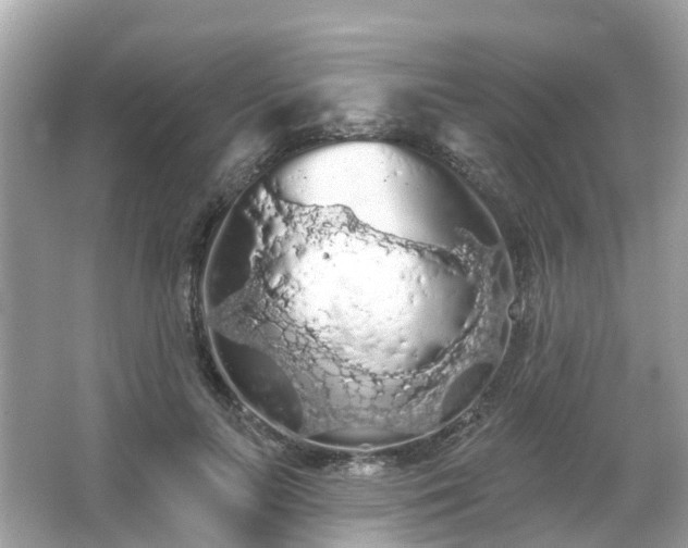 X0000066090647200603131205