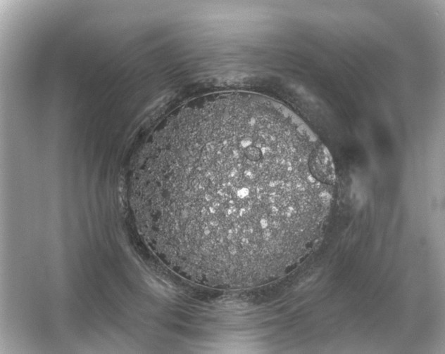 X0000066090648200603131205