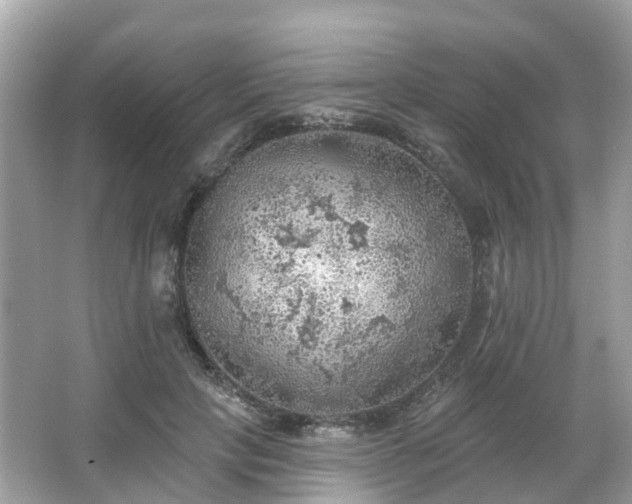 X0000066090649200603131205