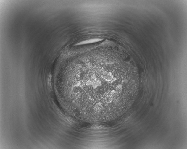 X0000066090650200603131205