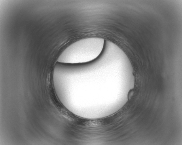 X0000066090652200603131205