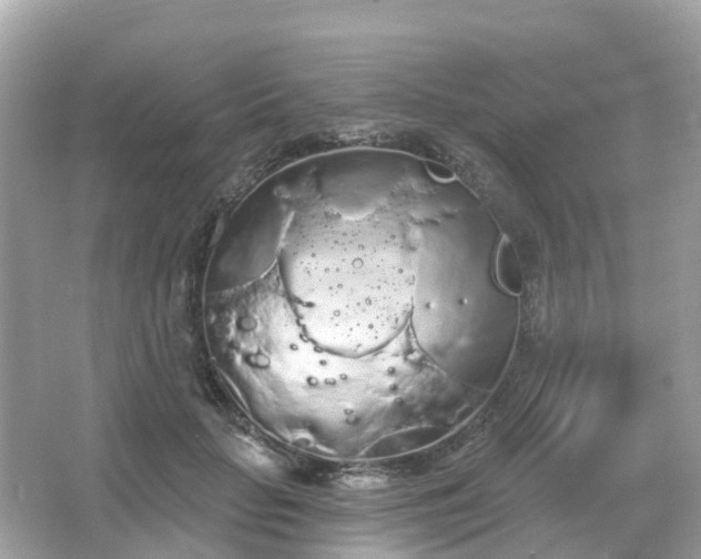 X0000066090653200603131205