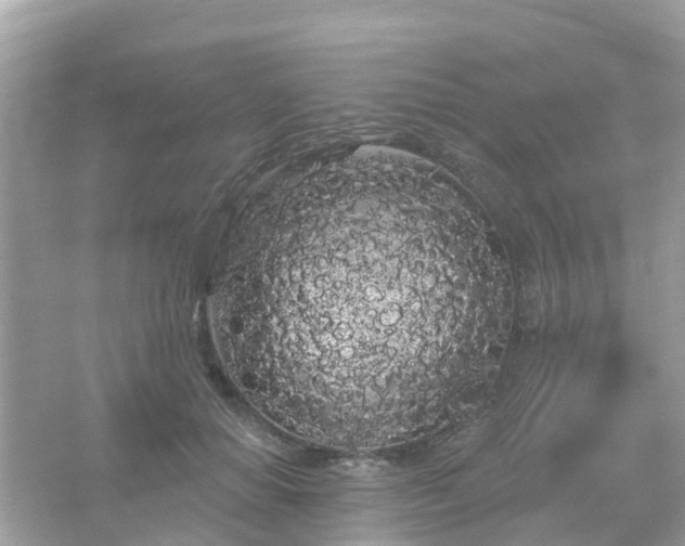 X0000066090654200603131205