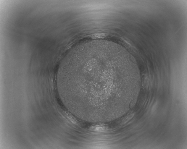 X0000066090655200603131205