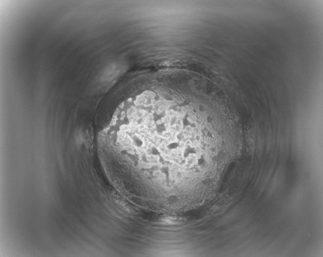 X0000066090657200603131205