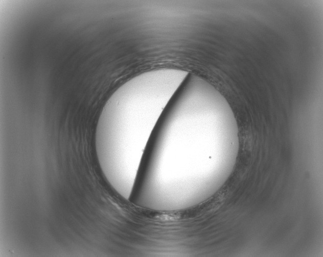 X0000066090660200603131205