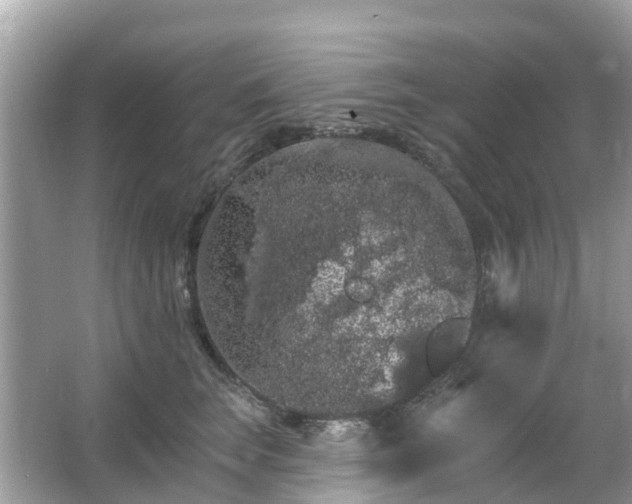 X0000066090663200603131205