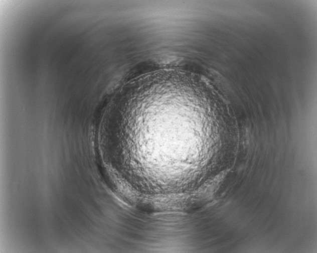 X0000066090664200603131205