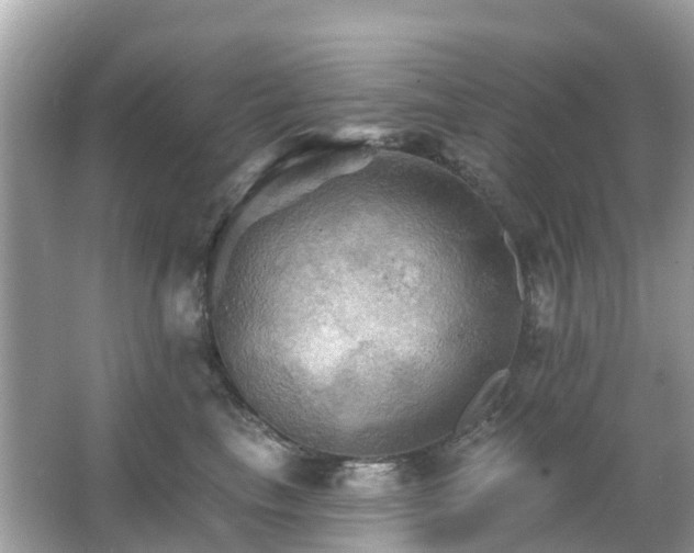 X0000066090665200603131205