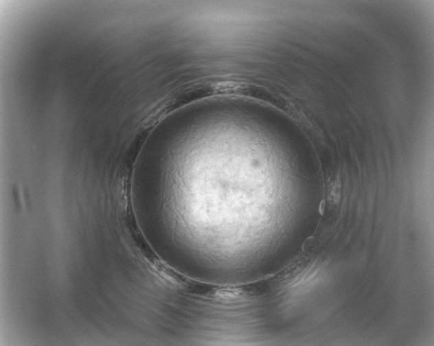 X0000066090666200603131205