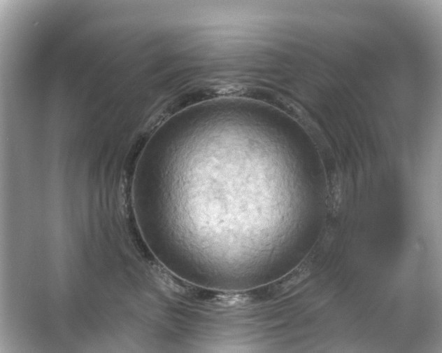 X0000066090667200603131205