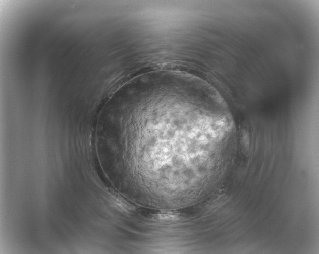 X0000066090668200603131205