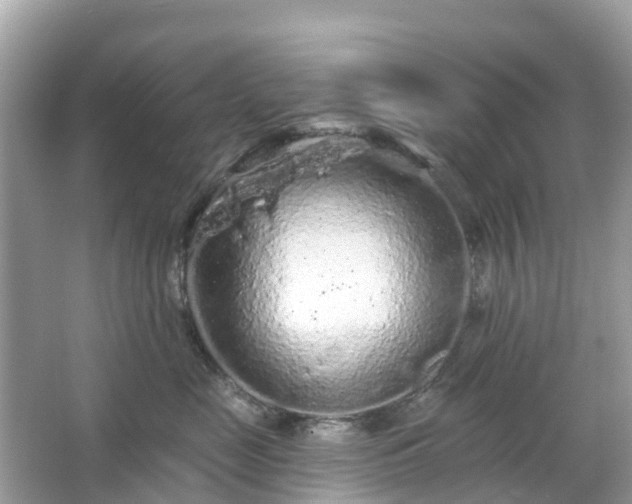 X0000066090669200603131205