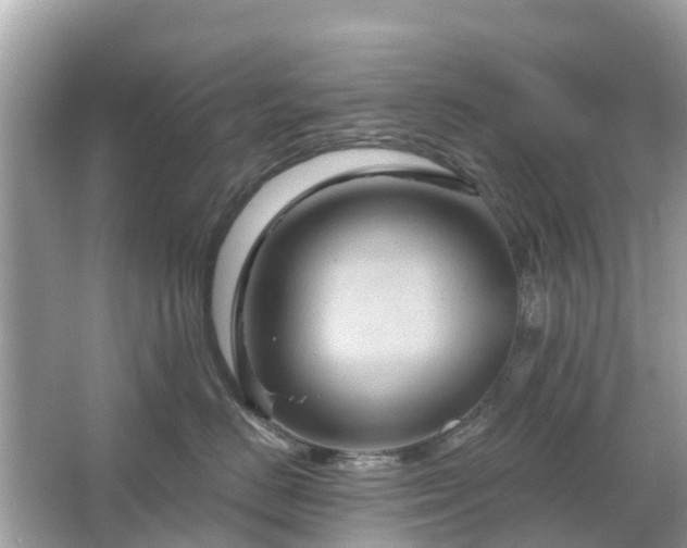 X0000066090670200603131205