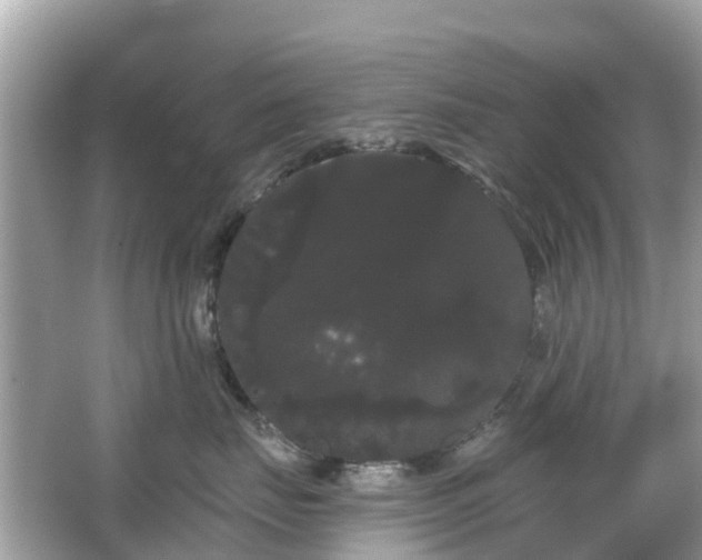 X0000066090671200603131205