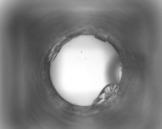 X0000066090672200603131205