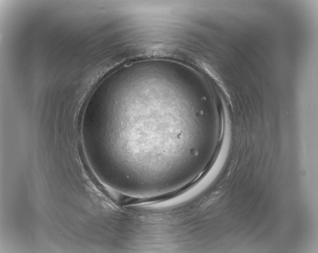 X0000066090673200603131204