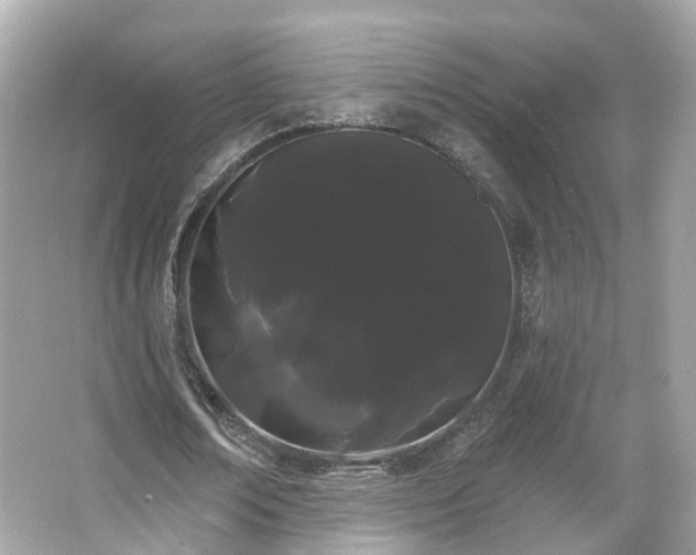 X0000066090674200603131204