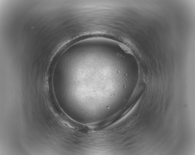 X0000066090676200603131204