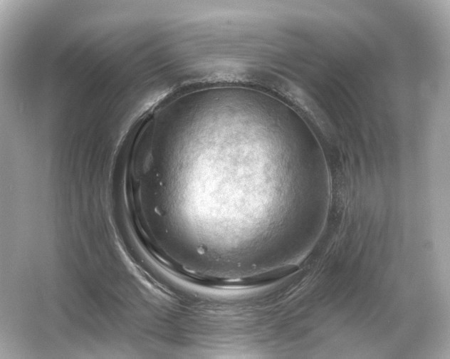 X0000066090677200603131204