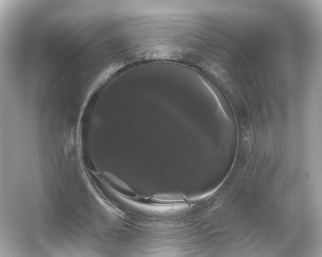 X0000066090678200603131204