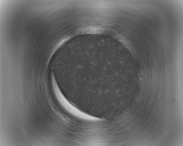 X0000066090679200603131204