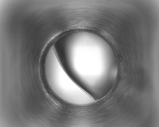 X0000066090680200603131204