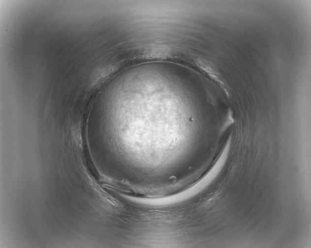 X0000066090681200603131204