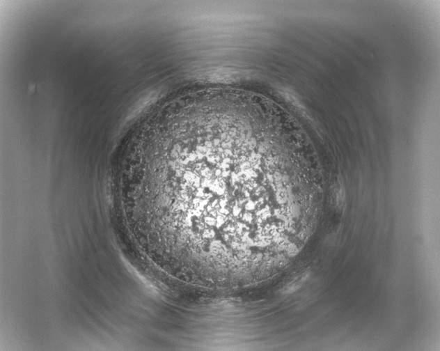 X0000066090683200603131204