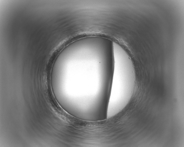 X0000066090684200603131204