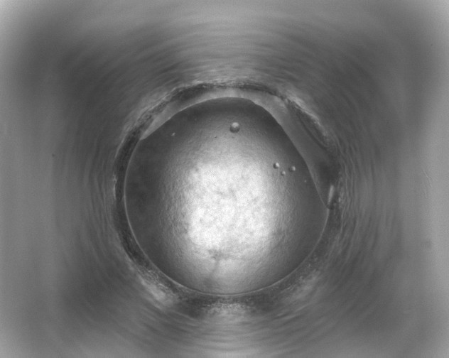 X0000066090685200603131204