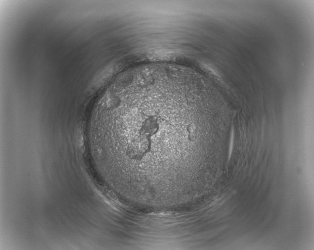 X0000066090687200603131204