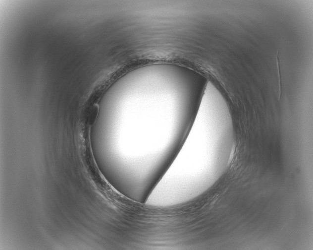 X0000066090688200603131204