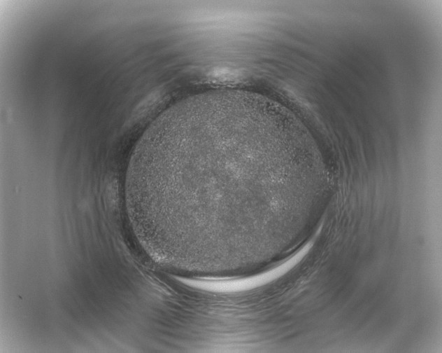 X0000066090689200603131204