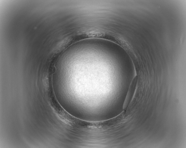 X0000066090690200603131204