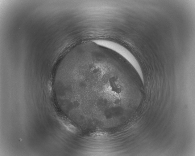 X0000066090691200603131204