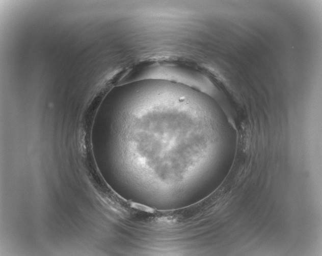 X0000066090692200603131204