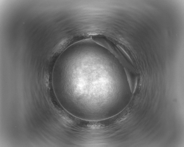 X0000066090693200603131204