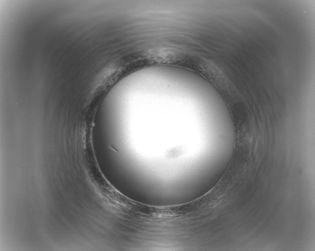 X0000066090694200603131204