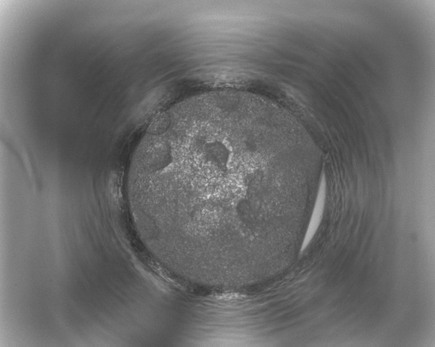 X0000066090695200603131204