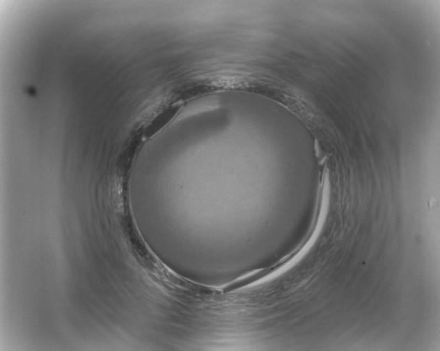 X0000066090696200603131204