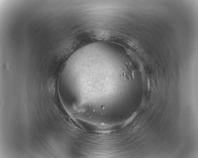 X0000066090697200603131204