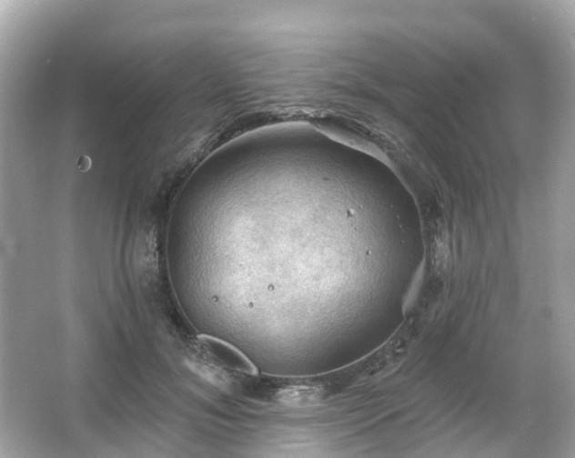 X0000066090700200603131204