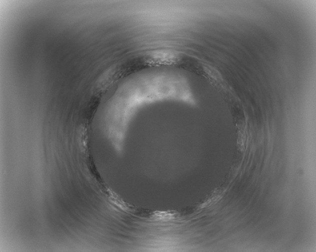 X0000066090701200603131204