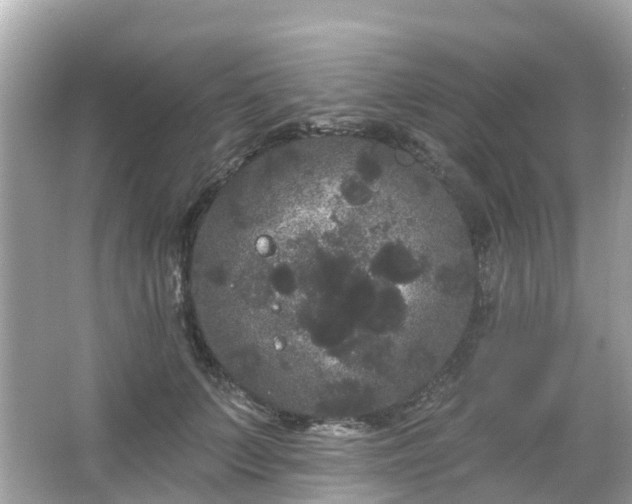 X0000066090703200603131204