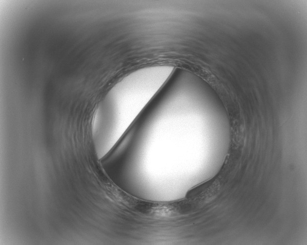 X0000066090704200603131204